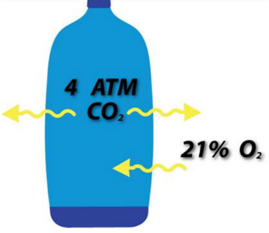 Permeation a Natural Process